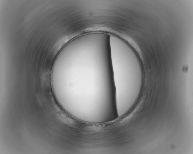X0000091940937200709051259