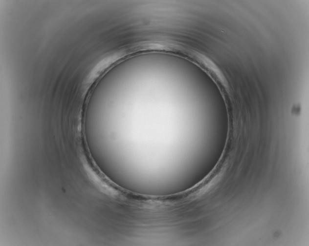 X0000091940938200709051259