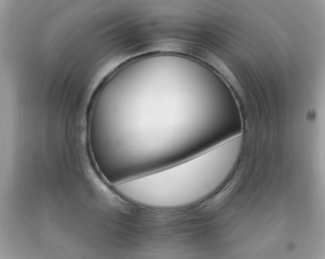 X0000091940939200709051259