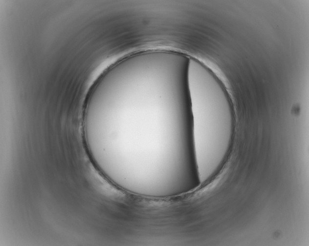 X0000091940941200709051259