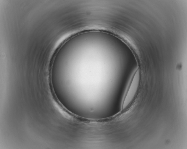 X0000091940942200709051259