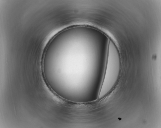 X0000091940943200709051259