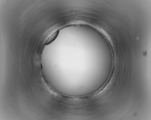 X0000091940945200709051259