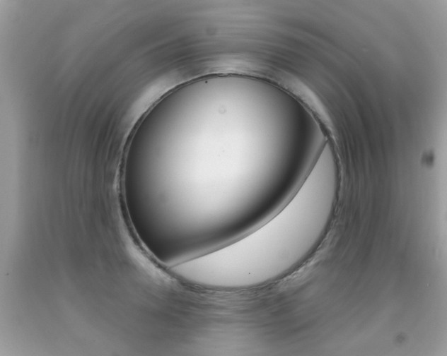 X0000091940946200709051259