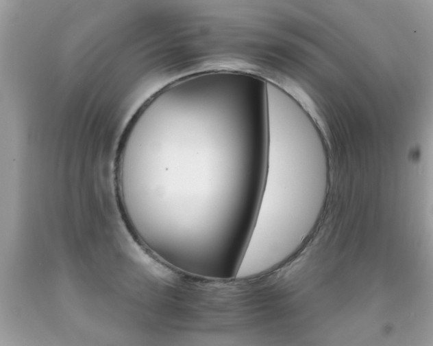X0000091940947200709051259