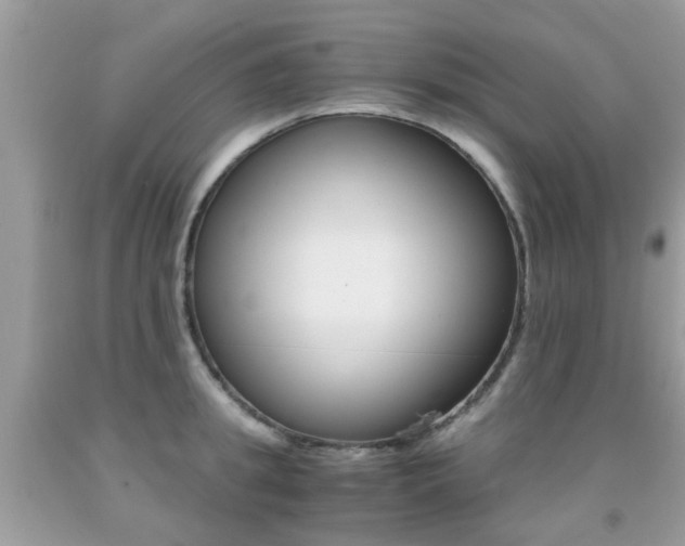 X0000091940949200709051259