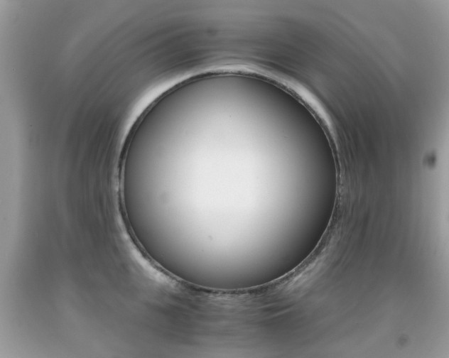 X0000091940951200709051259