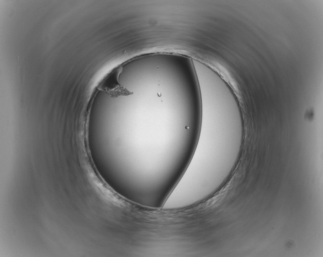 X0000091940952200709051259