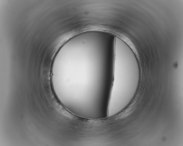 X0000091940954200709051300