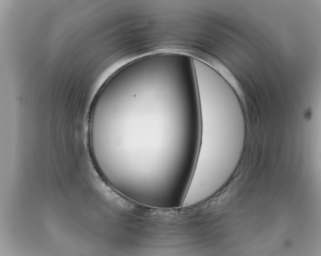X0000091940955200709051300
