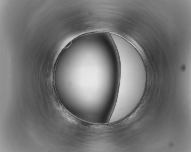 X0000091940956200709051300