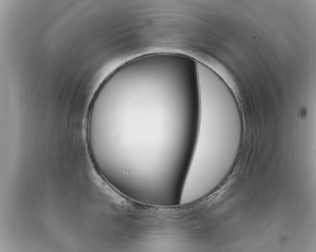 X0000091940958200709051300