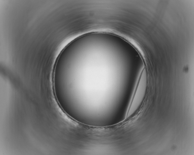 X0000091940959200709051300