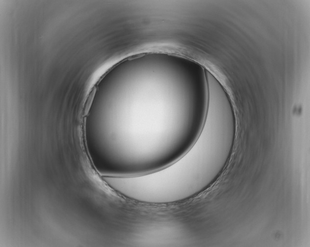 X0000091940960200709051300