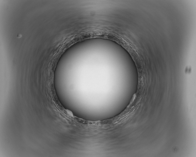 X0000091940961200709051259
