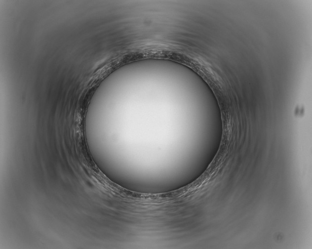 X0000091940964200709051259