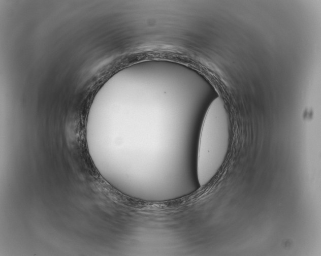 X0000091940966200709051259