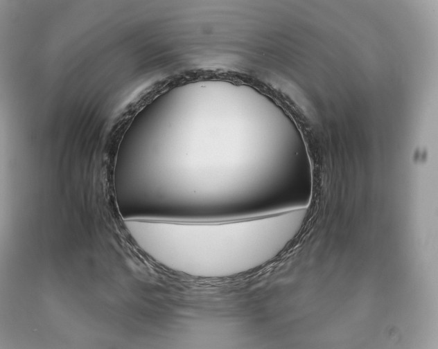X0000091940968200709051259