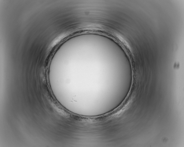 X0000091940970200709051259