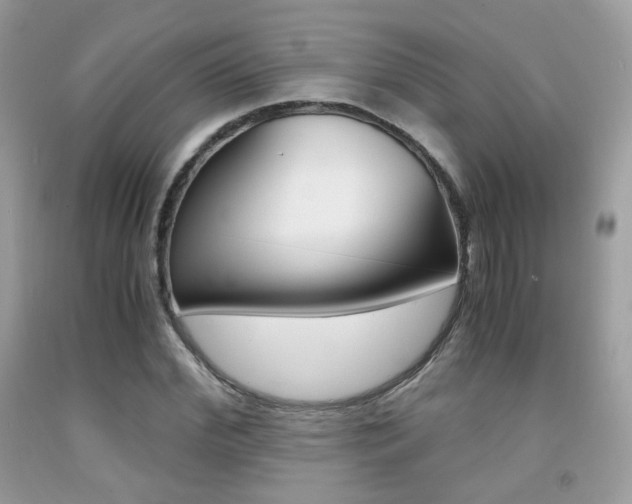 X0000091940972200709051259