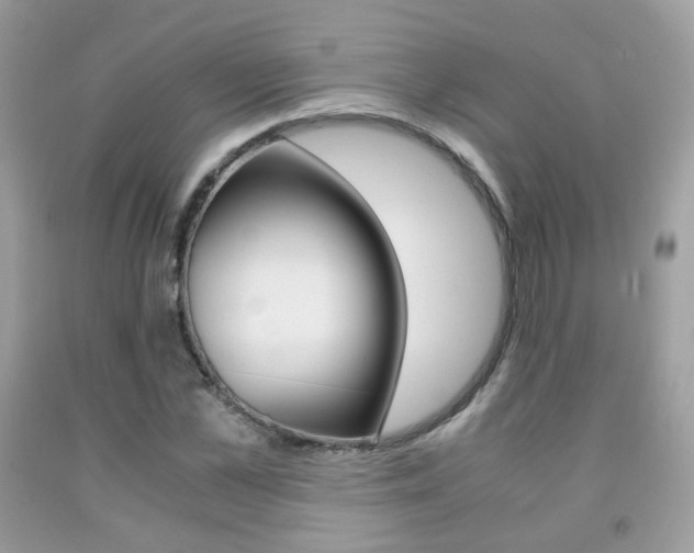 X0000091940973200709051259