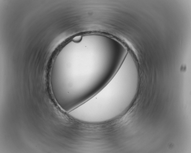 X0000091940975200709051259
