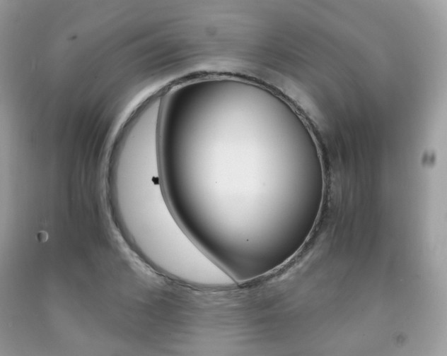 X0000091940976200709051259