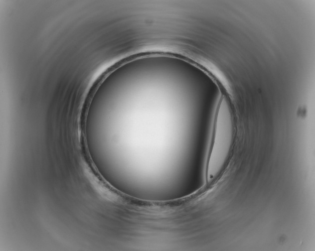 X0000091940980200709051259