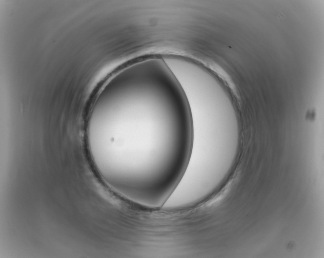 X0000091940981200709051259