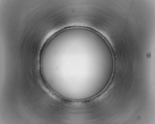 X0000091940982200709051259
