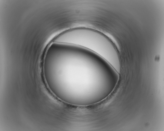 X0000091940983200709051259