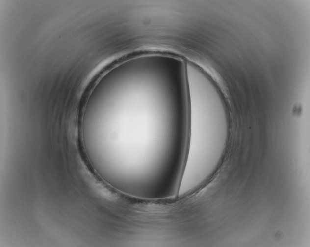 X0000091940984200709051259
