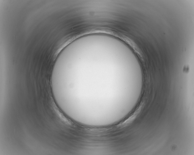 X0000091940985200709051259