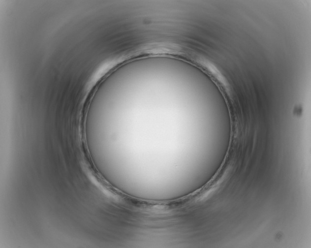 X0000091940986200709051259