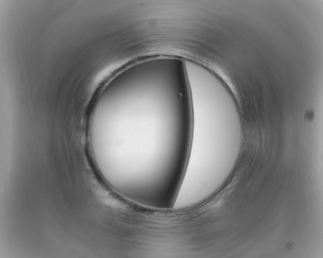 X0000091940987200709051259