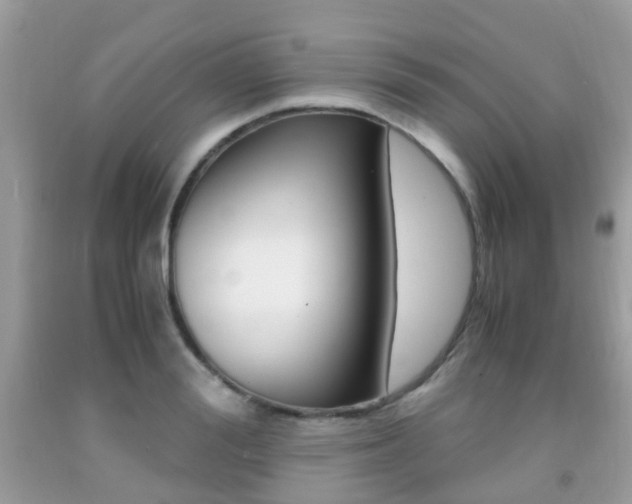 X0000091940988200709051259