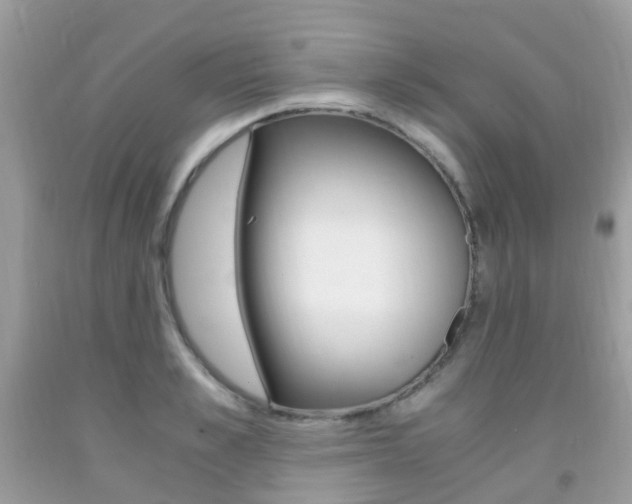 X0000091940989200709051259