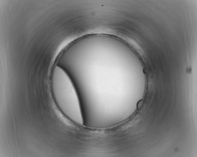 X0000091940990200709051258