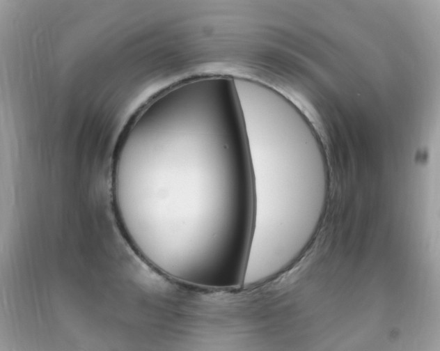 X0000091940992200709051258