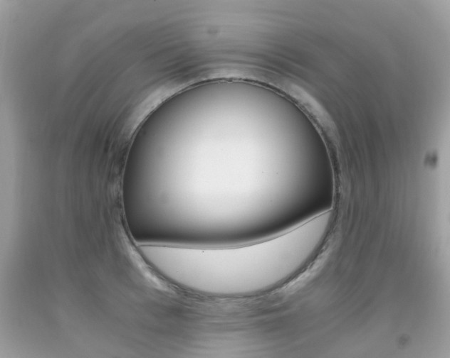X0000091940993200709051258