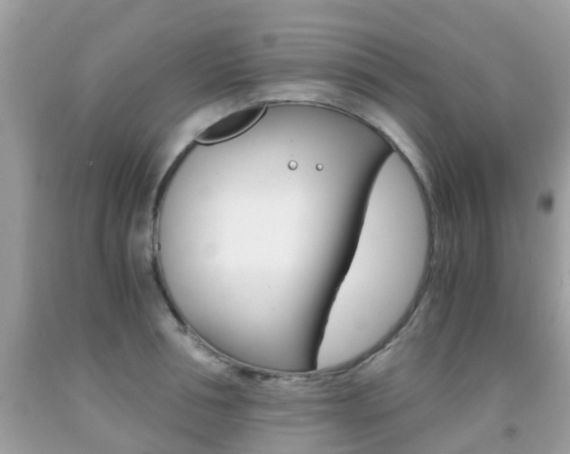 X0000091940994200709051258