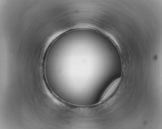 X0000091940995200709051258