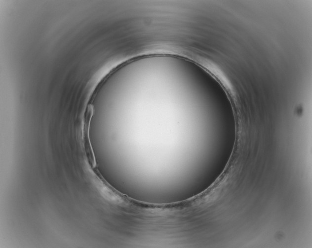 X0000091940996200709051258