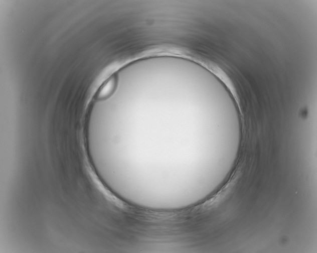 X0000091940997200709051258