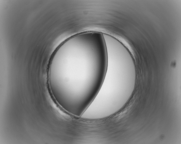 X0000091940999200709051258