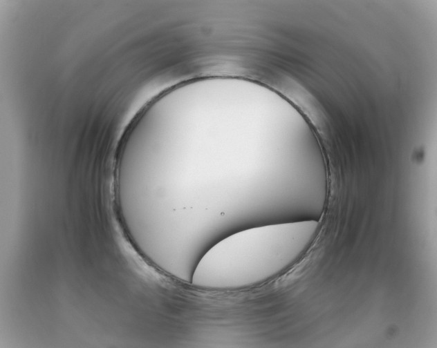 X0000091941000200709051258