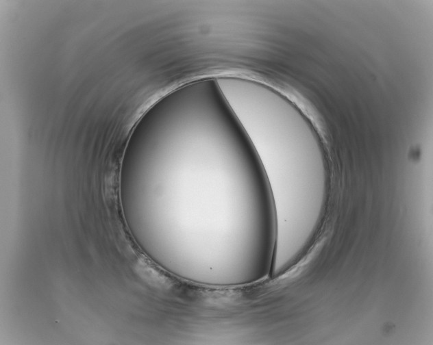 X0000091941001200709051258