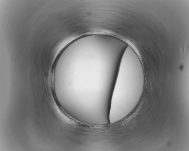 X0000091941003200709051258