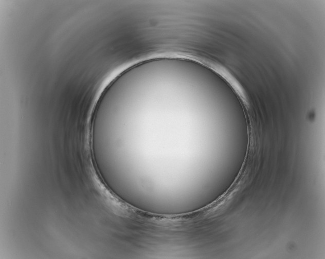 X0000091941004200709051258
