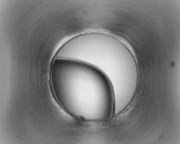 X0000091941005200709051258